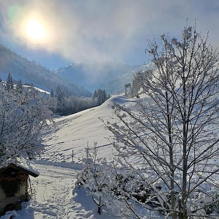 Ferienwohnungen Lehenhof Alpbach Exterior foto