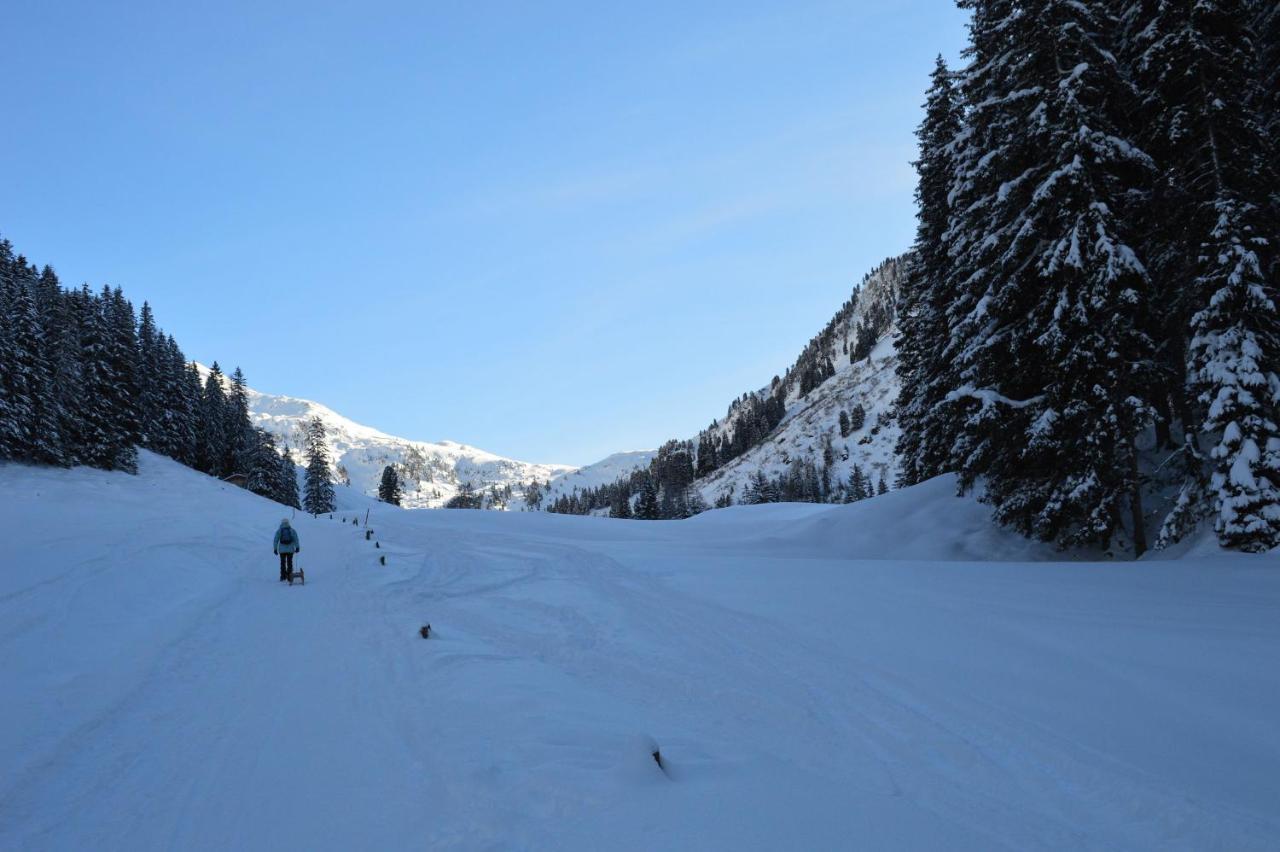 Ferienwohnungen Lehenhof Alpbach Exterior foto