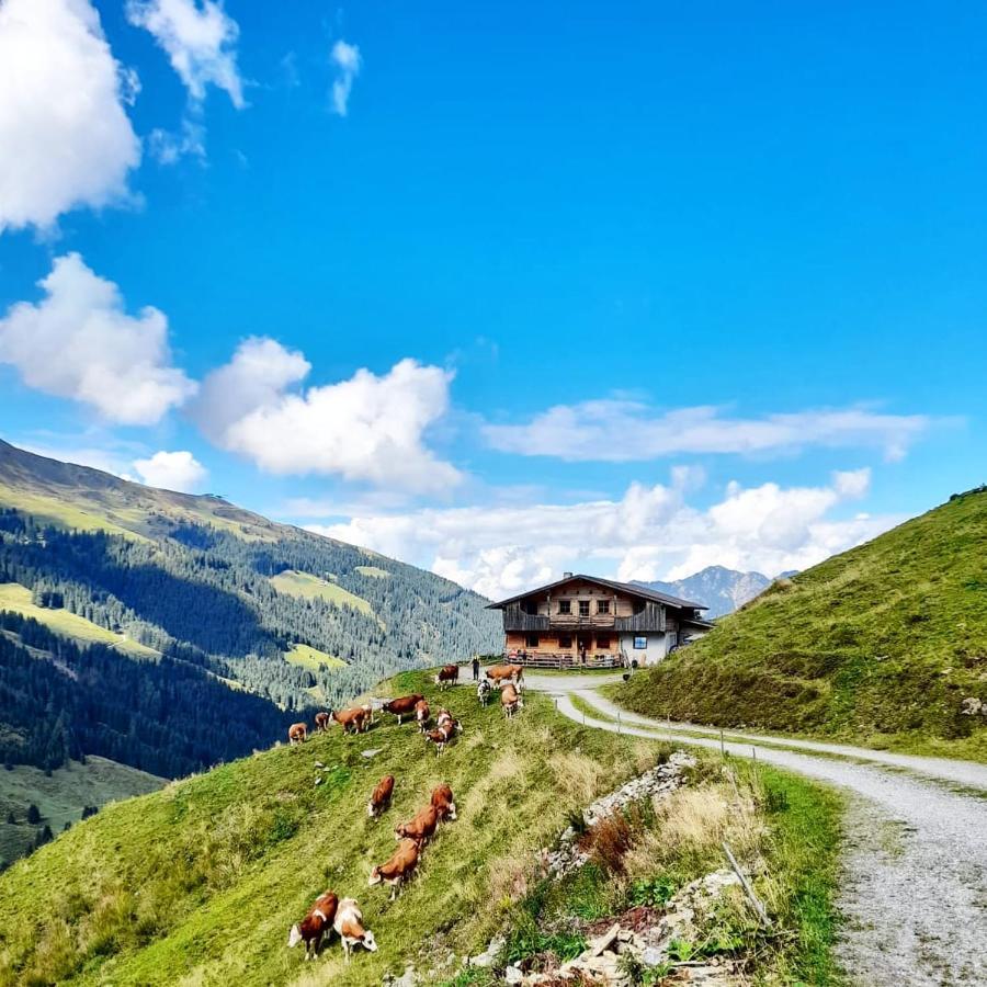 Ferienwohnungen Lehenhof Alpbach Exterior foto