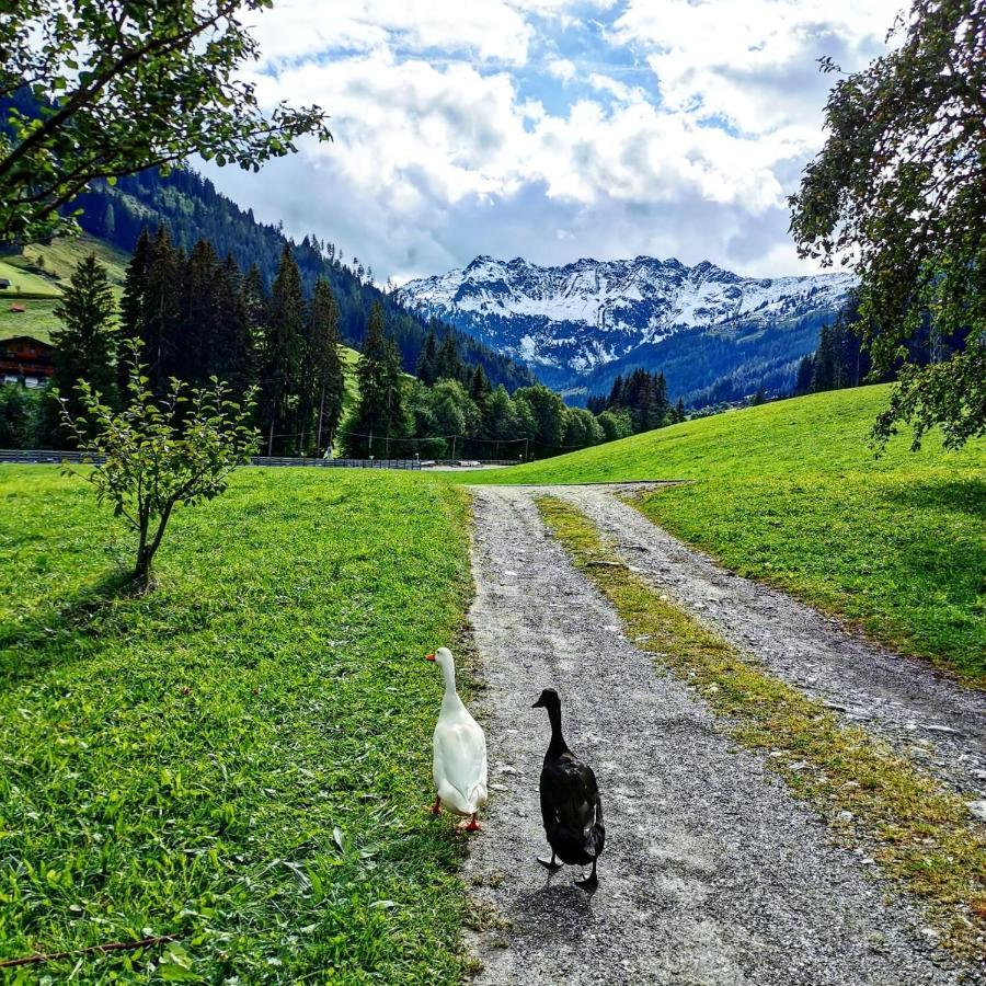 Ferienwohnungen Lehenhof Alpbach Exterior foto