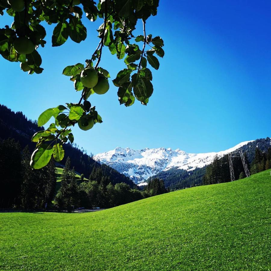 Ferienwohnungen Lehenhof Alpbach Exterior foto