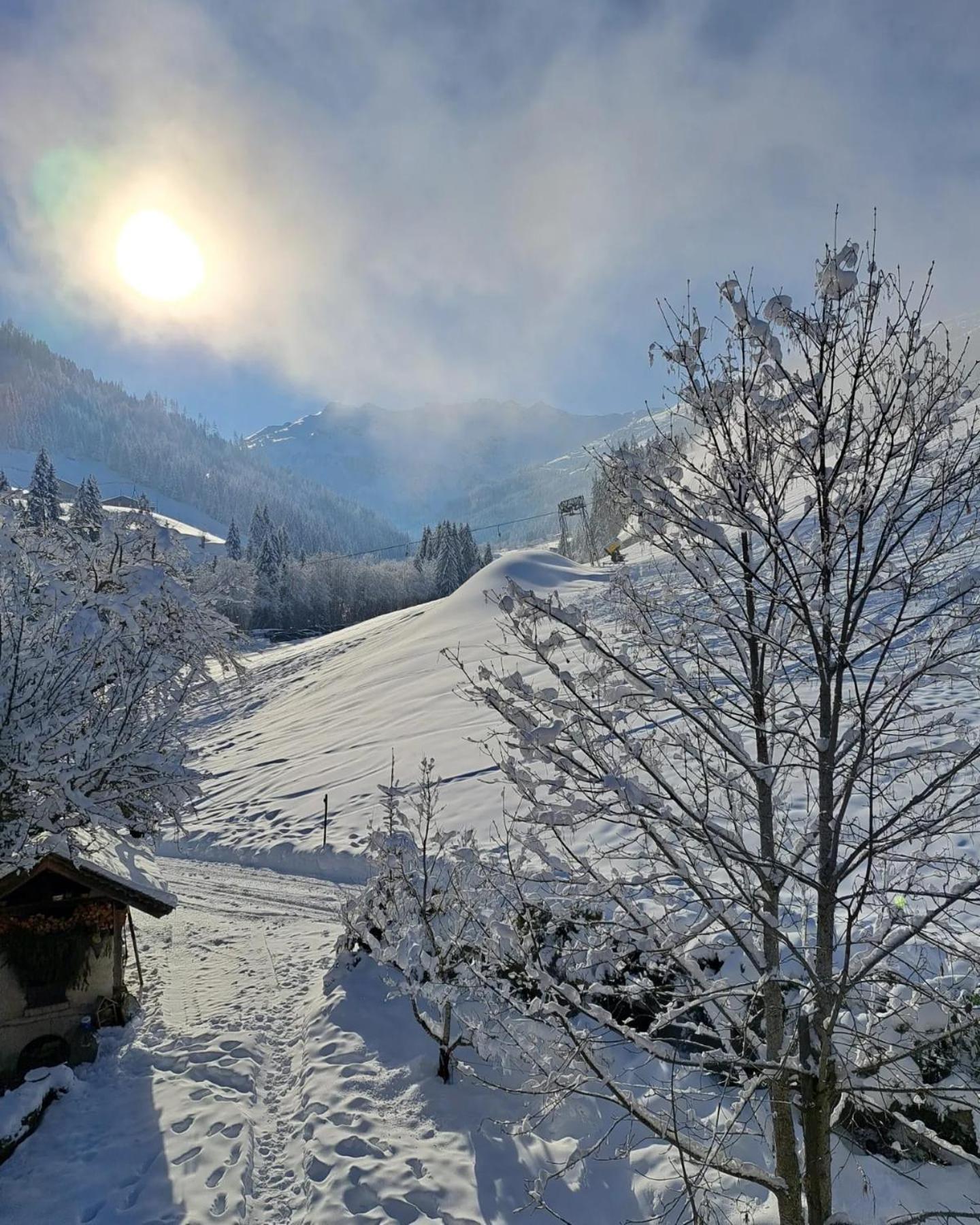 Ferienwohnungen Lehenhof Alpbach Exterior foto